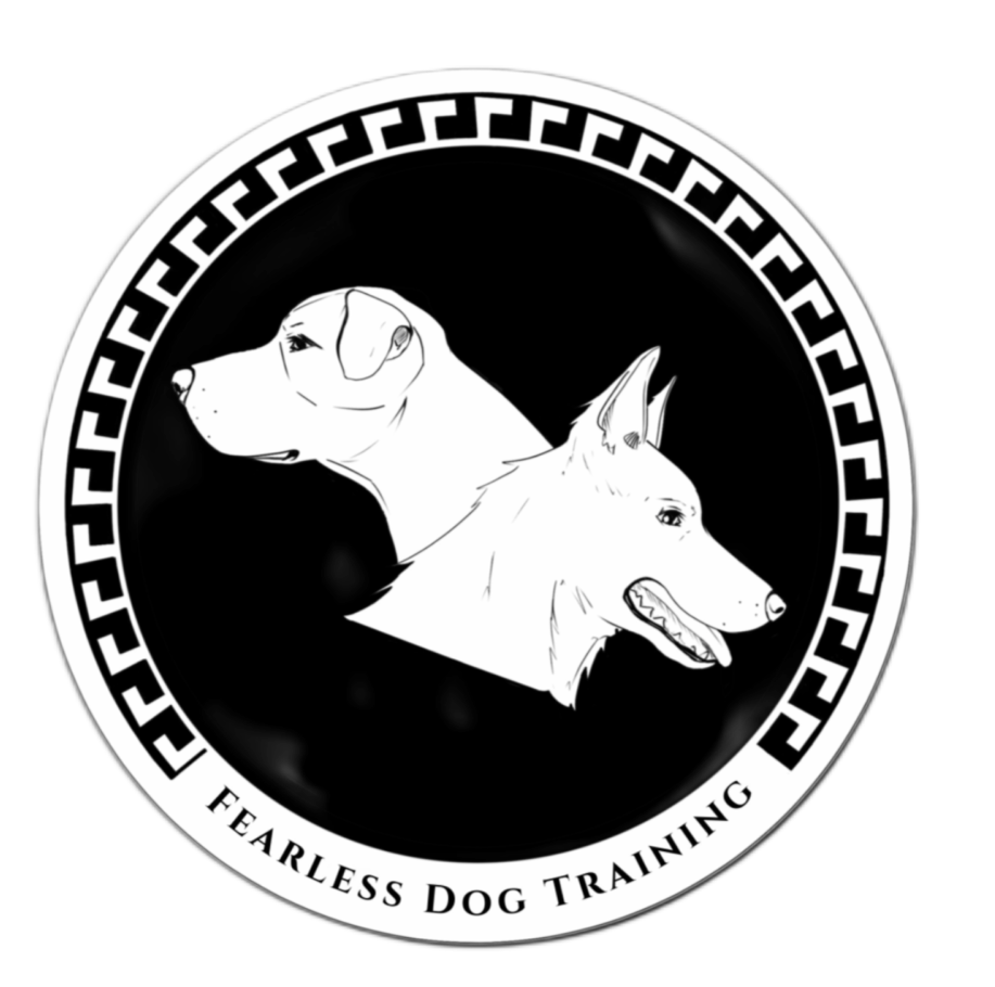 Fearless Dog Training